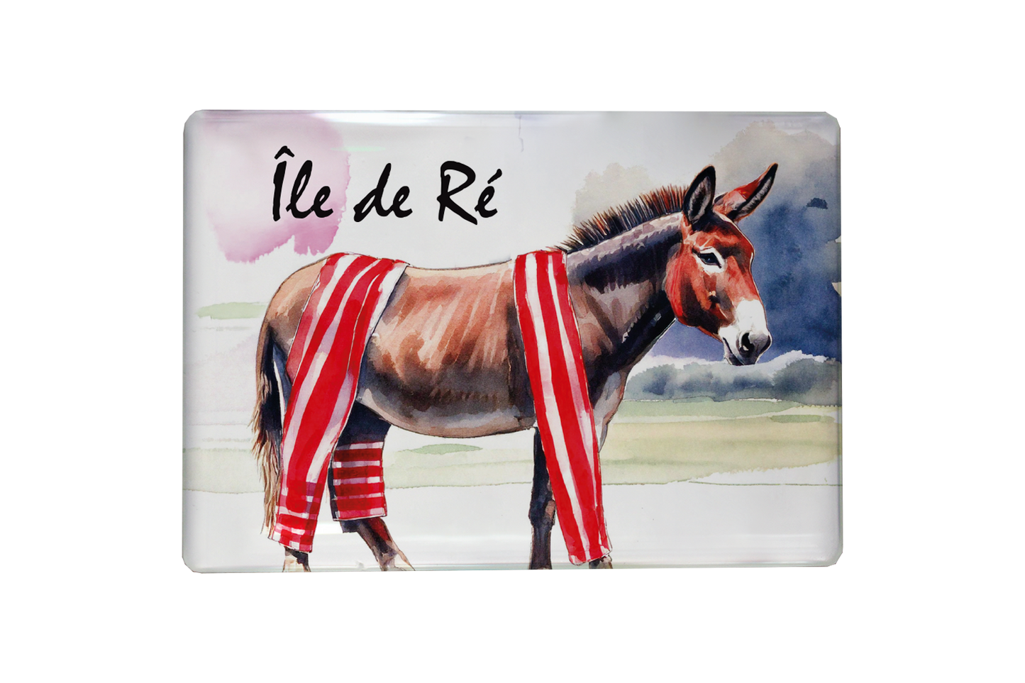 MAGNET ILE DE RE ANE