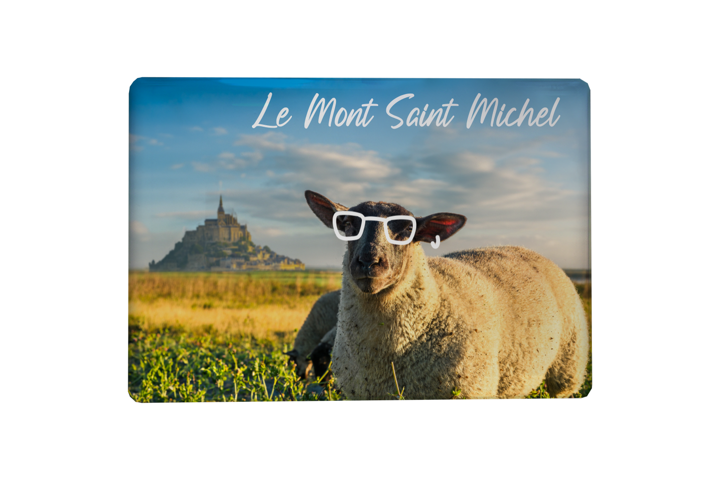 MAGNET MSM MOUTON