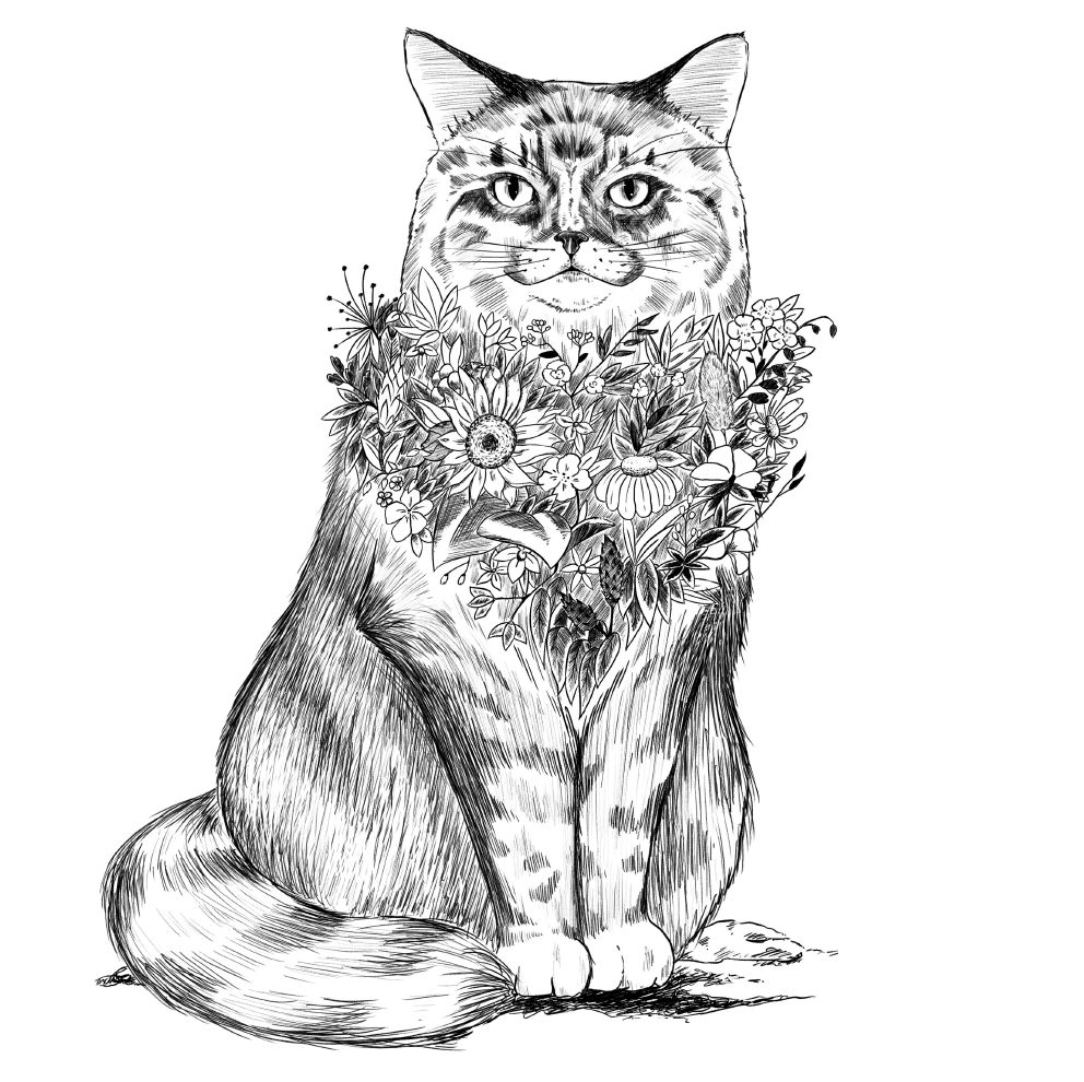 Chat des villes / Chat des champs