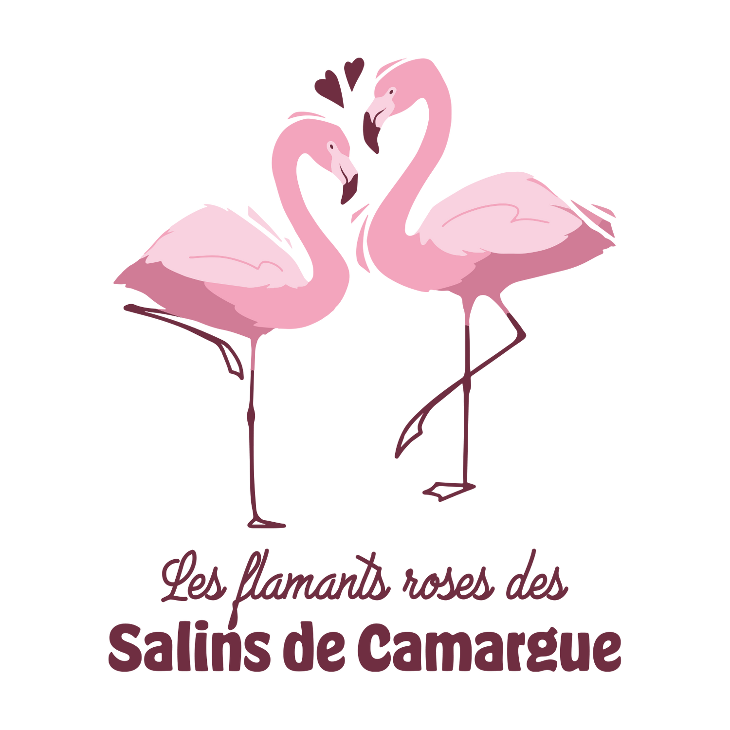 Les Salins d'Aigues-Mortes