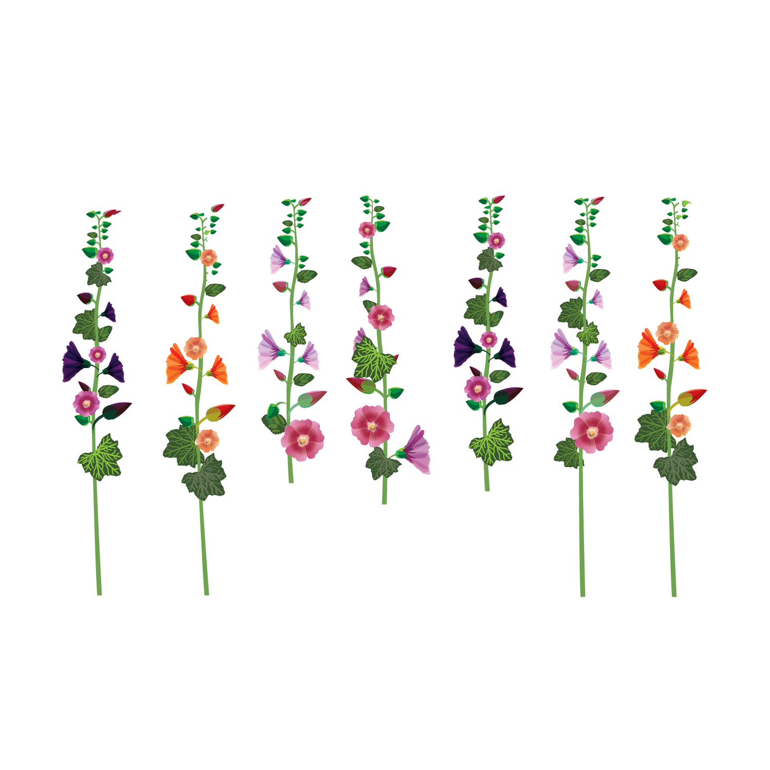 Roses Trémières