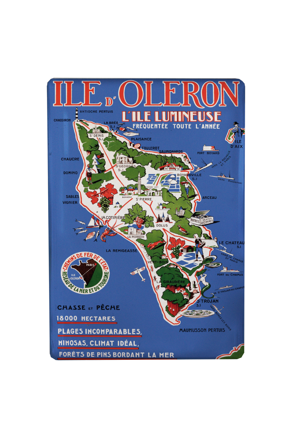 MAGNET SPE VISUEL OLERON