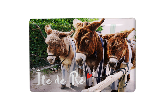 MAGNET ILE DE RE PHOTO 3 ANES CULOTTE