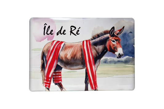 MAGNET ILE DE RE ANE