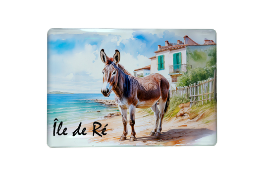 MAGNET ILE DE RE ANE 2