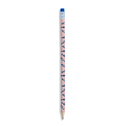 CRAYON BOIS GOMME MARIUS