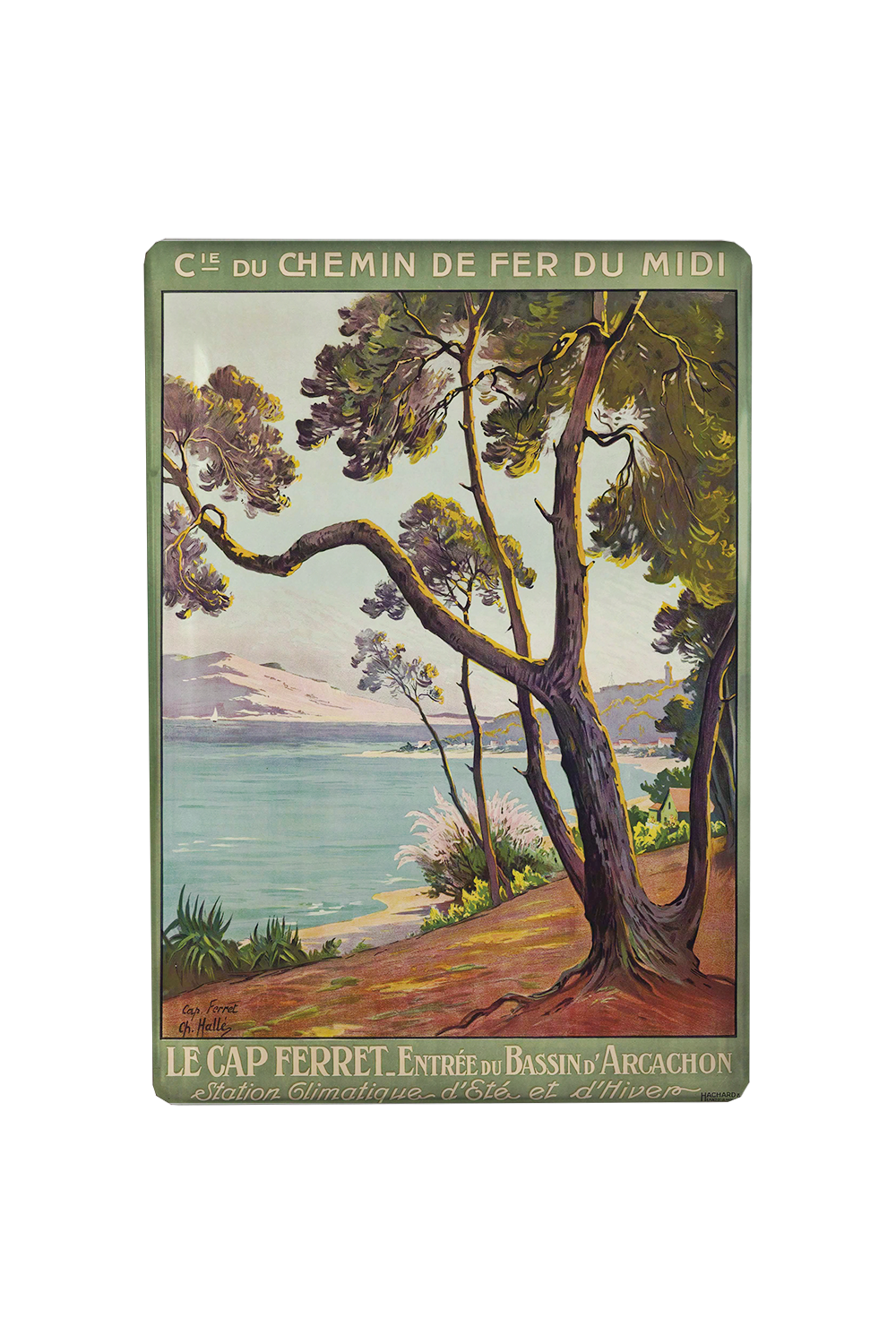 MAGNET CAP FERRET LICENCE