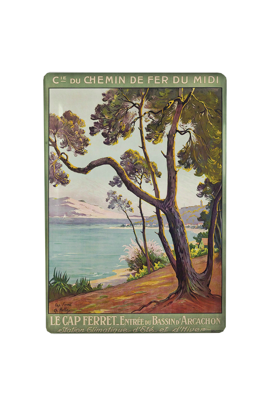 MAGNET CAP FERRET LICENCE