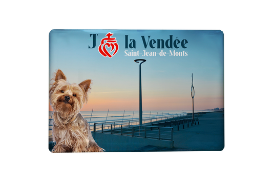 MAGNET SAINT JEAN DE MONT CHIEN